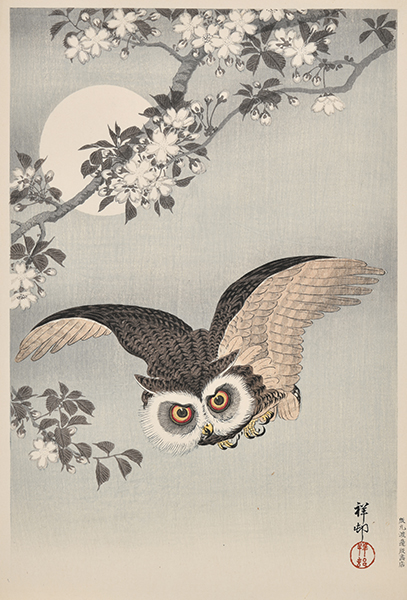 作品画像